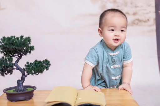 盘锦可爱的企鹅宝宝